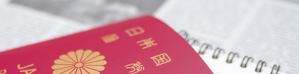 visa image