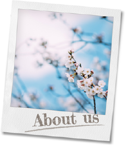 about us