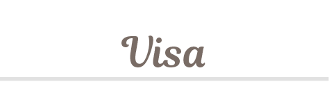 visa image