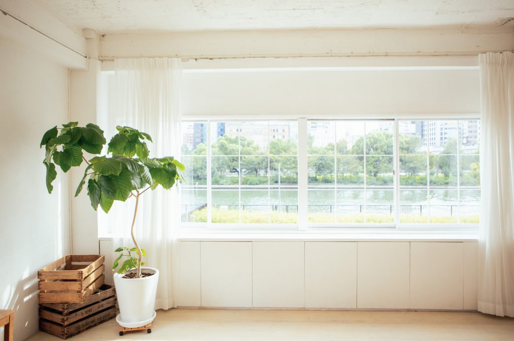 article_property2