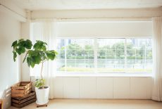 article_property2